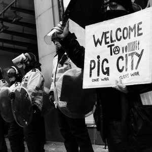 Welcome to Pig City